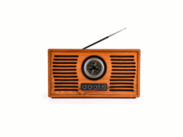 BLUETOOTH SPEAKER_T2